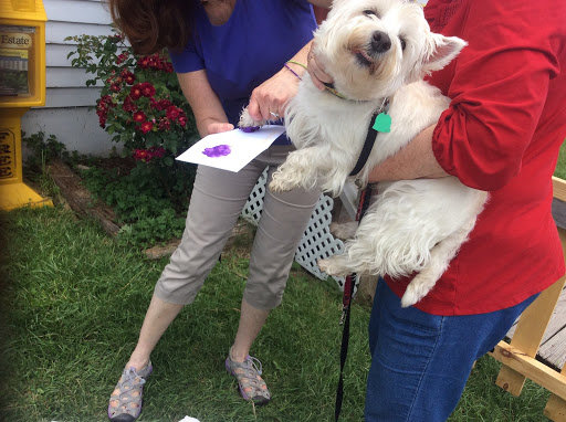 Pet Supply Store «My Best Friend’s Barkery», reviews and photos, 176 Shawneehaw Ave S, Banner Elk, NC 28604, USA