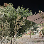 Photo n°3 de l'avis de Emanuele. fait le 10/07/2022 à 07:42 sur le  Vincenzo Restaurant à Falcone