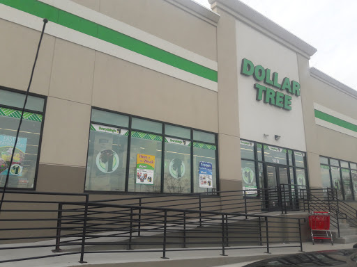 Dollar Store «Dollar Tree», reviews and photos, 248-56 Rockaway Blvd, Rosedale, NY 11422, USA