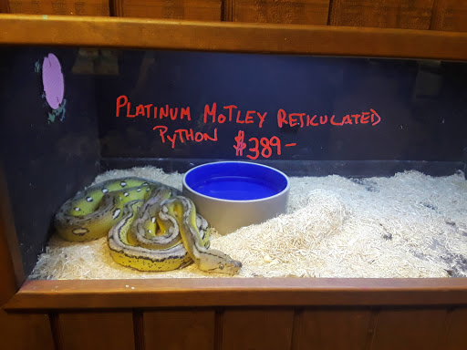 Tropical Fish Store «Ocean Gallery», reviews and photos, 980 US-22, North Plainfield, NJ 07060, USA