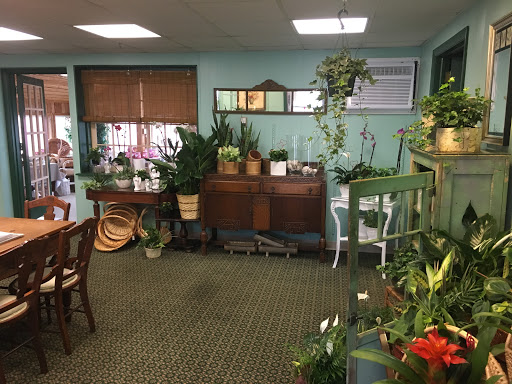 Florist «Marzi Florist Inc», reviews and photos, 33 Fern St, New Britain, CT 06053, USA