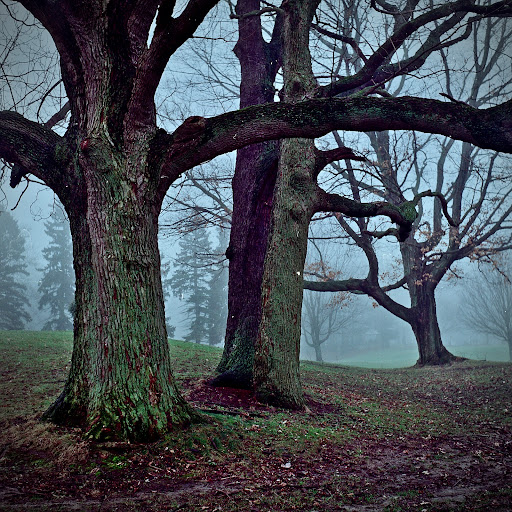 Public Golf Course «J.C. Martin Golf Course», reviews and photos, 652 Shunpike Rd, Erie, PA 16508, USA