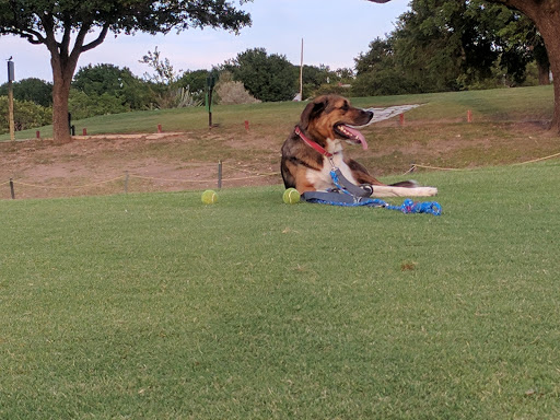 Golf Club «Northern Hills Golf Club», reviews and photos, 13202 Scarsdale, San Antonio, TX 78217, USA