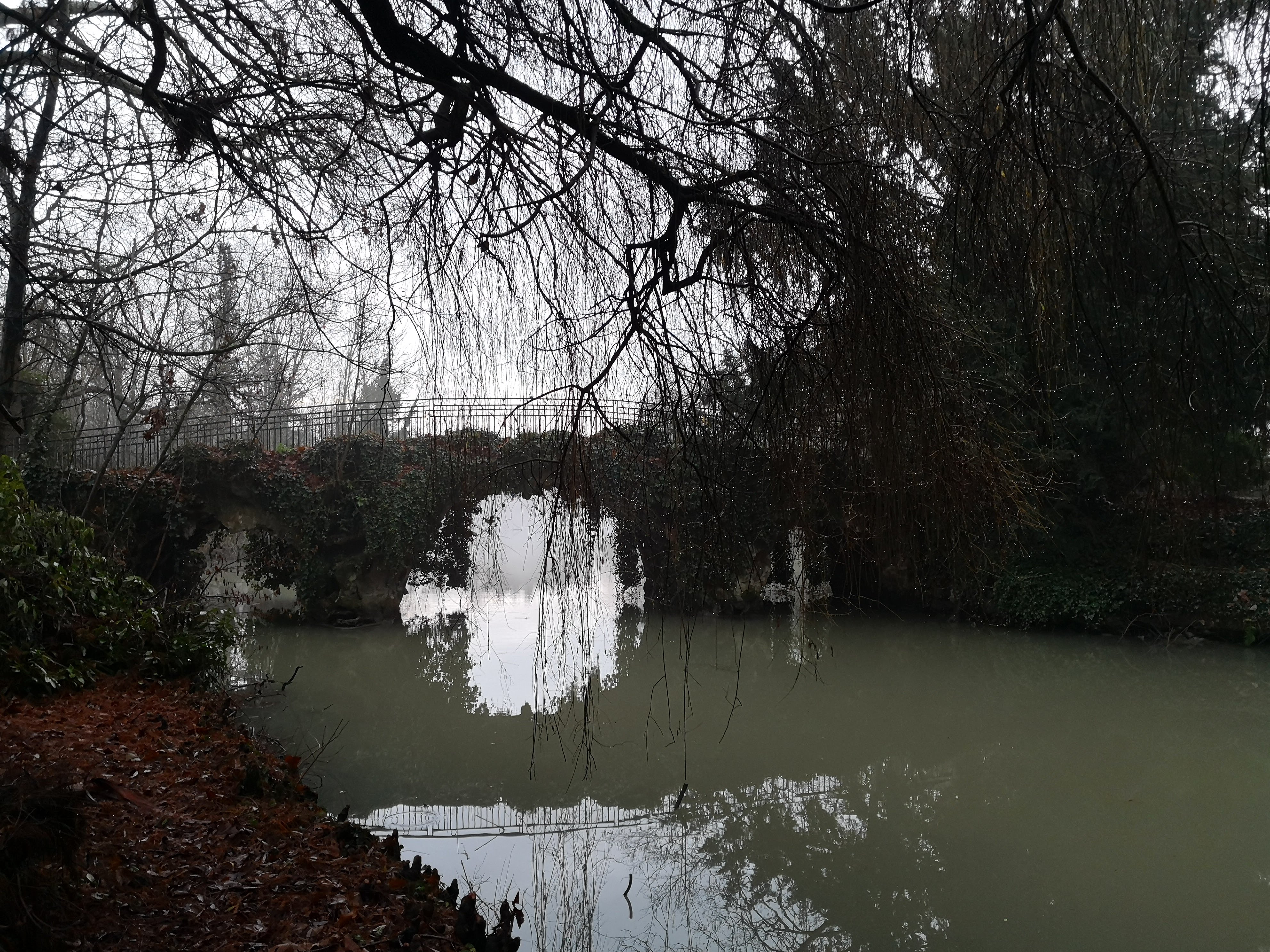 Photo n° 3 de l'avis de Lecomte.n fait le 04/09/2017 à 17:52
