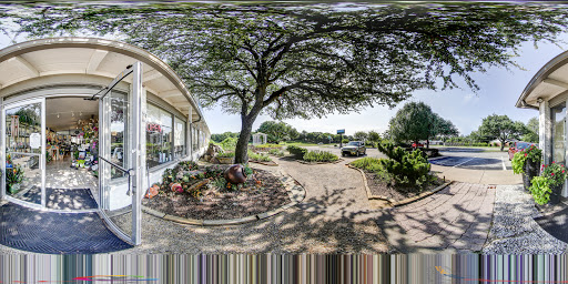 Florist «Dr Delphinium Flower & Orchid House», reviews and photos, 513 W Campbell Rd, Richardson, TX 75080, USA