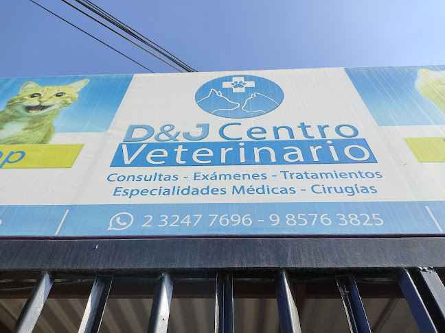 Opiniones de Centro Veterinario D&J en Puente Alto - Veterinario