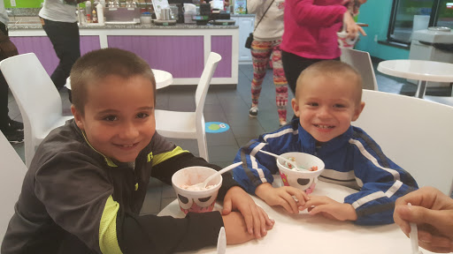 Frozen Yogurt Shop «sweetFrog Premium Frozen Yogurt», reviews and photos, 3911 Union Deposit Rd, Harrisburg, PA 17109, USA