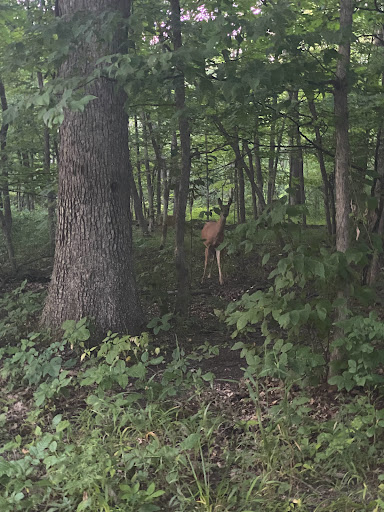 Nature Preserve «Camp Pine Woods», reviews and photos, Central Rd, Glenview, IL 60025, USA