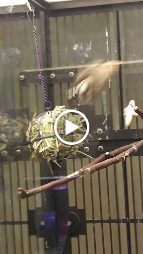 Pet Supply Store «PetSmart», reviews and photos, 1276 Carmia Way, Richmond, VA 23235, USA