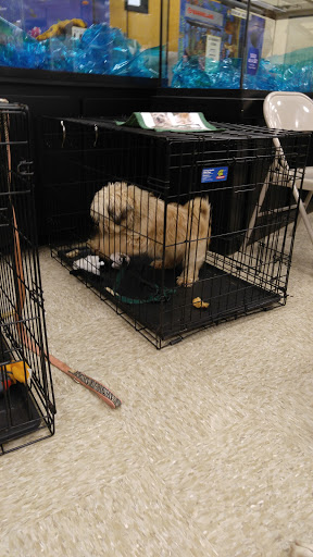 Pet Supply Store «PetSmart», reviews and photos, 144 Retail Commons Pkwy, Martinsburg, WV 25403, USA