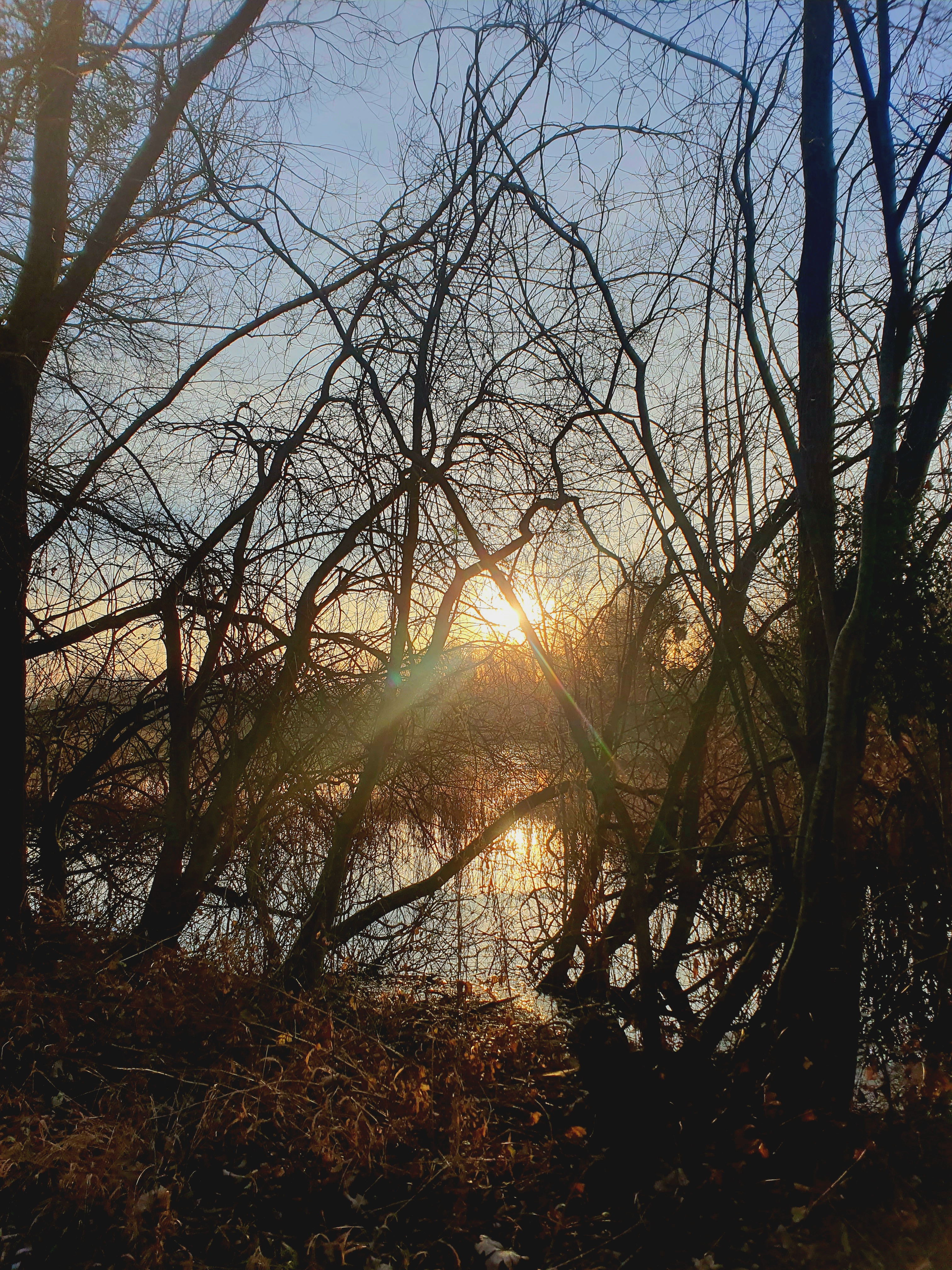 Photo n° 21 de l'avis de Albert.l fait le 27/01/2024 à 21:21