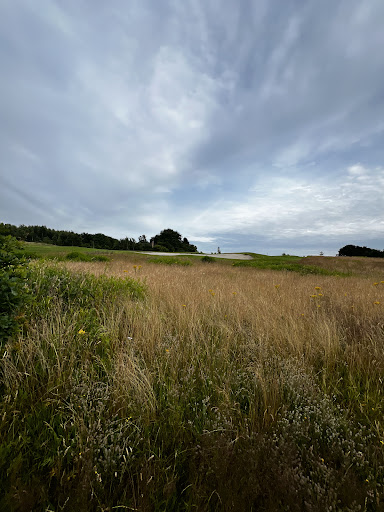 Trolden - MTB spor Gjern in Gjern, Silkeborg