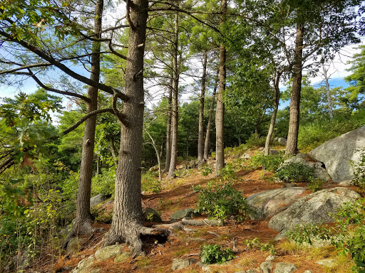 Rocky Woods