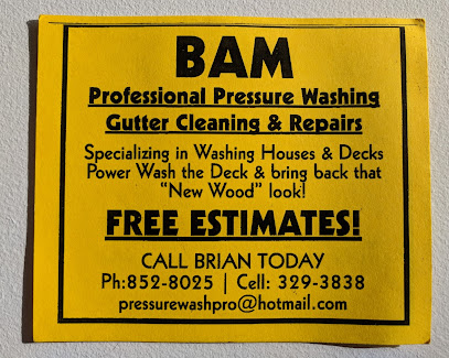 BAM Professional Pressure Washing for Houses, Decks, Driveways and Gutters