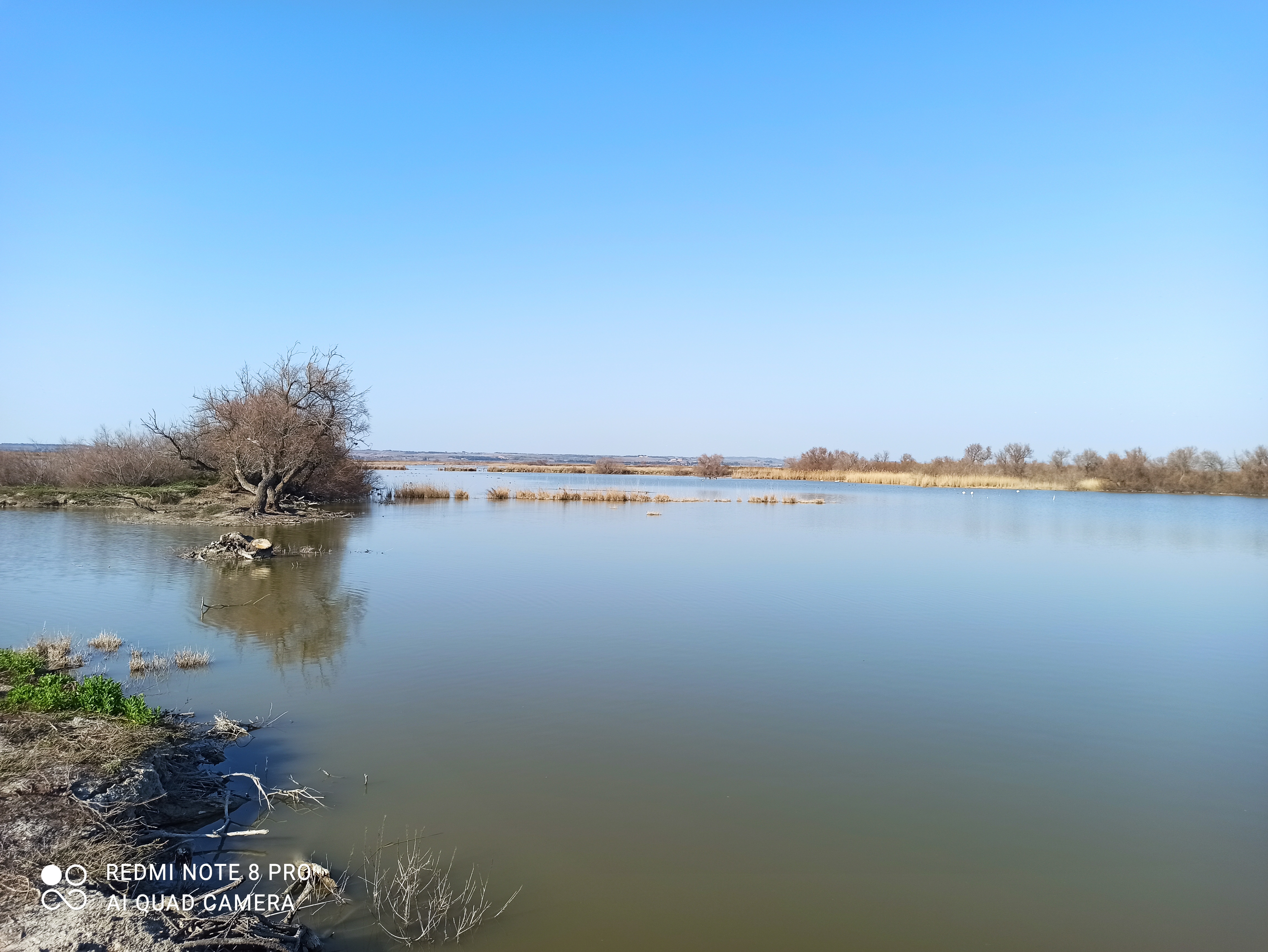 Photo n° 7 de l'avis de Frédéric.a fait le 06/03/2022 à 18:29