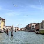 Photo n°1 de l'avis de M. fait le 28/04/2024 à 11:47 sur le  Trattoria Povoledo Venezia à Venice