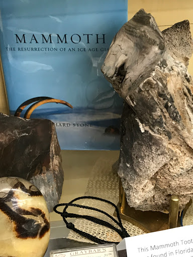 Music Store «Washington Street Books & Music», reviews and photos, 131 N Washington St, Havre De Grace, MD 21078, USA