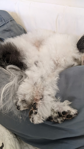 Pet Supply Store «Petapoluza Pet Supply & Grooming», reviews and photos, 114 N 36th St, Seattle, WA 98103, USA