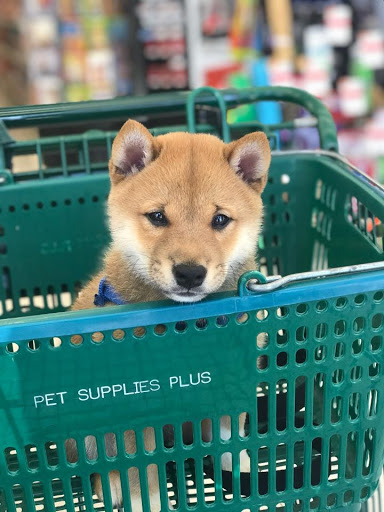 Pet Supply Store «Pet Supplies Plus», reviews and photos, 3984 Seneca St, West Seneca, NY 14224, USA