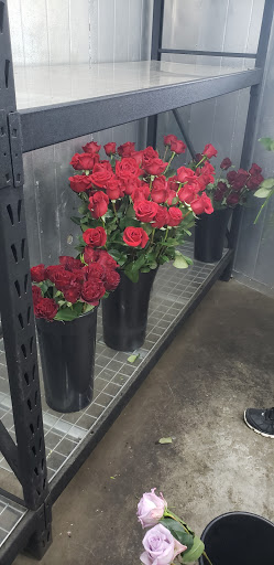 Florist «Holliday Flowers & Events Inc», reviews and photos, 1149 Union Ave, Memphis, TN 38104, USA