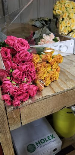 Florist «Sieck-Wright Floral Products», reviews and photos, 231 Monmouth St, Hightstown, NJ 08520, USA
