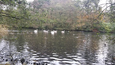 Photos of The Vognsb&oslash;l Park