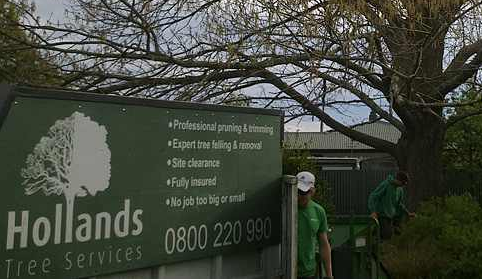 Reviews of Hollands Tree Services in Christchurch - Landscaper