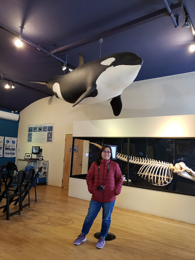 Museum «The Whale Museum», reviews and photos, 62 1st St, Friday Harbor, WA 98250, USA