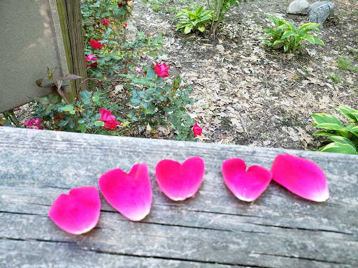 Park «East Cobb Park», reviews and photos, 3322 Roswell Rd, Marietta, GA 30068, USA