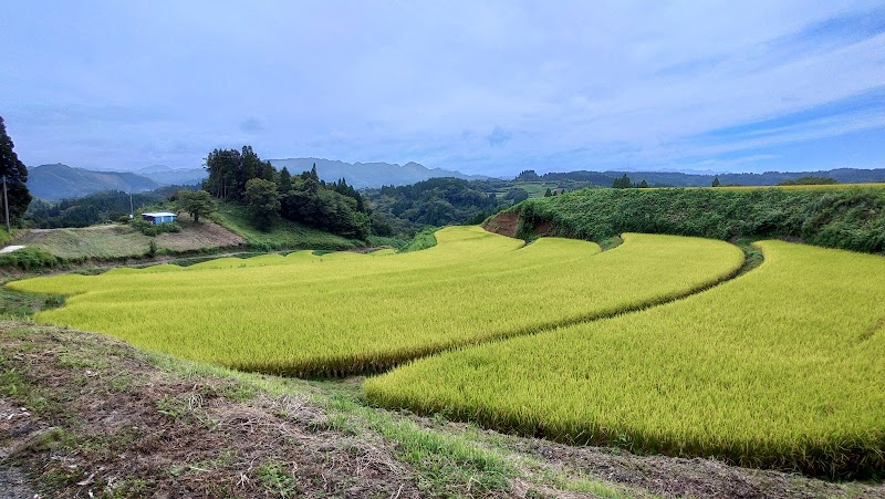 菅山の棚田