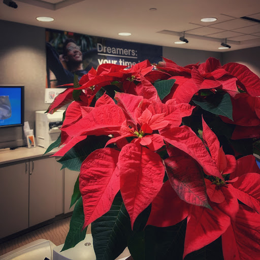 Credit Union «Credit Union of New Jersey», reviews and photos