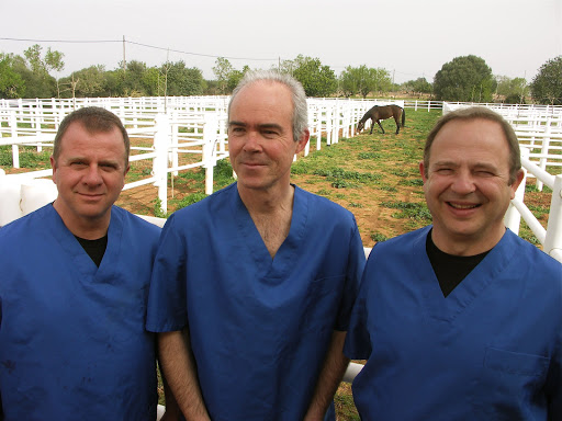 Clínica Equina Mallorca en Algaida