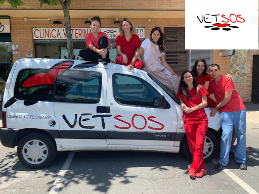 Veterinario Villanueva De La Cañada | Vetsos