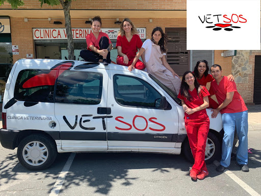Veterinario Villanueva de La Cañada | Vetsos en Villanueva de la Cañada