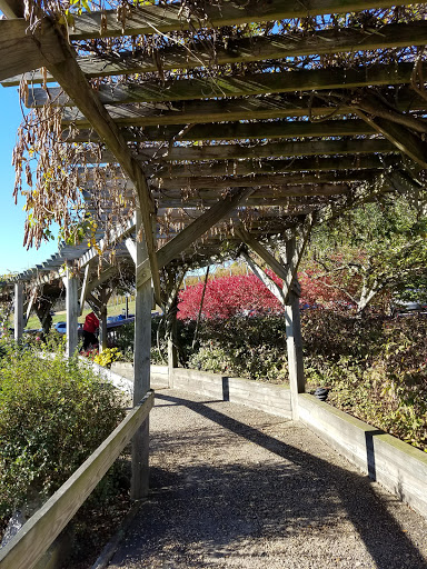 Winery «Hillsborough Vineyards», reviews and photos, 36716 Charles Town Pike, Purcellville, VA 20132, USA