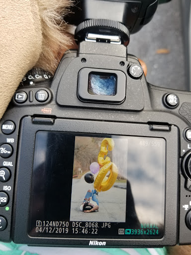 Public Golf Course «Calvert Road Park Disc Golf», reviews and photos, Campus Drive, College Park, MD 20740, USA