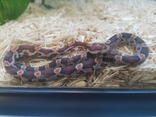 Pet Supply Store «Petco Animal Supplies», reviews and photos, 3535 Perkins Rd #305, Baton Rouge, LA 70808, USA