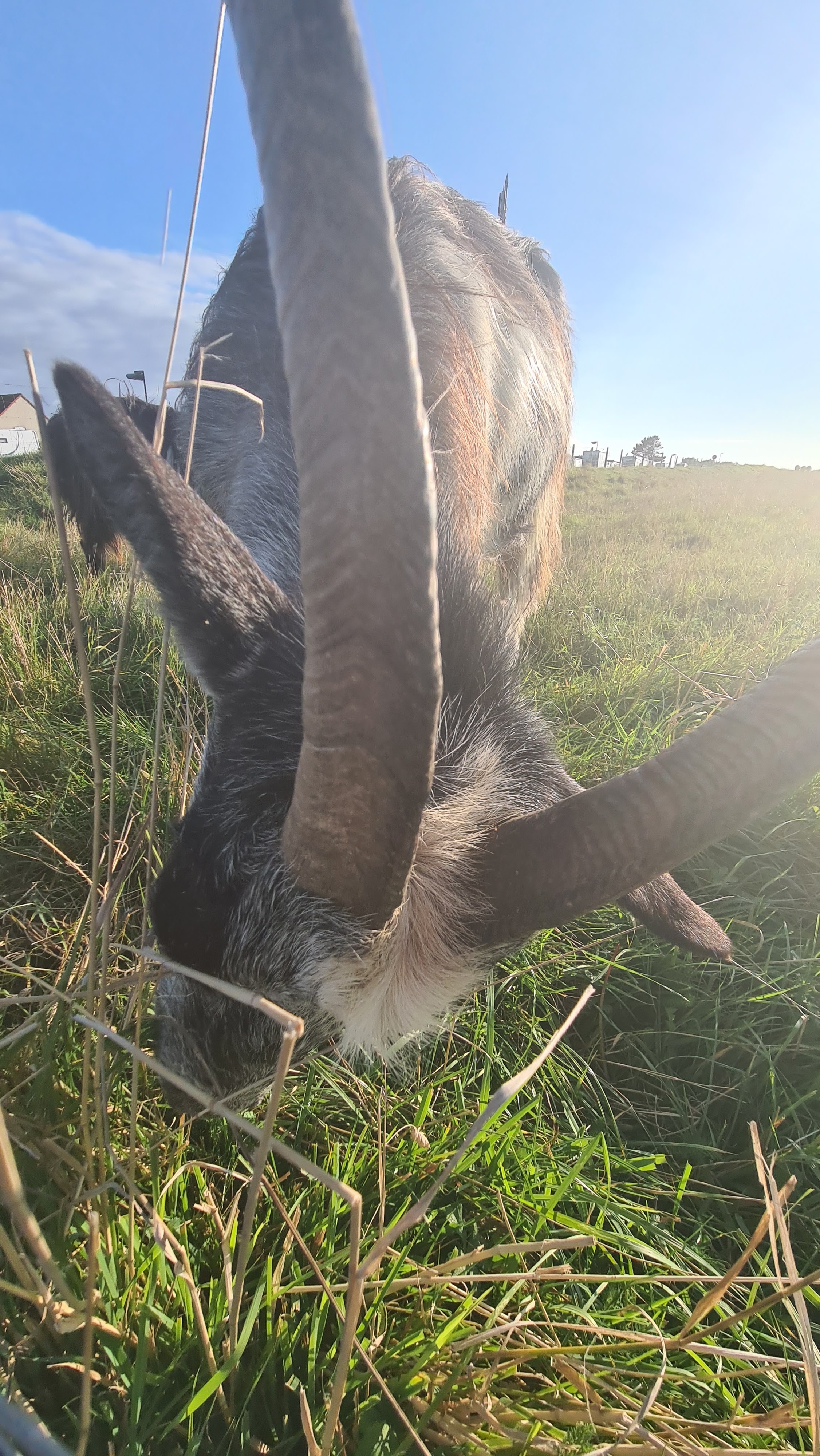 Photo n° 4 de l'avis de Stéphane.a fait le 29/08/2021 à 20:56
