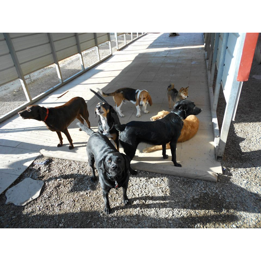 Kennel «Old Farm Pet Resort», reviews and photos, 3968 S 200 E, Salt Lake City, UT 84107, USA
