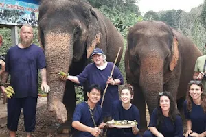 Elephant Sanctuary Care Park image