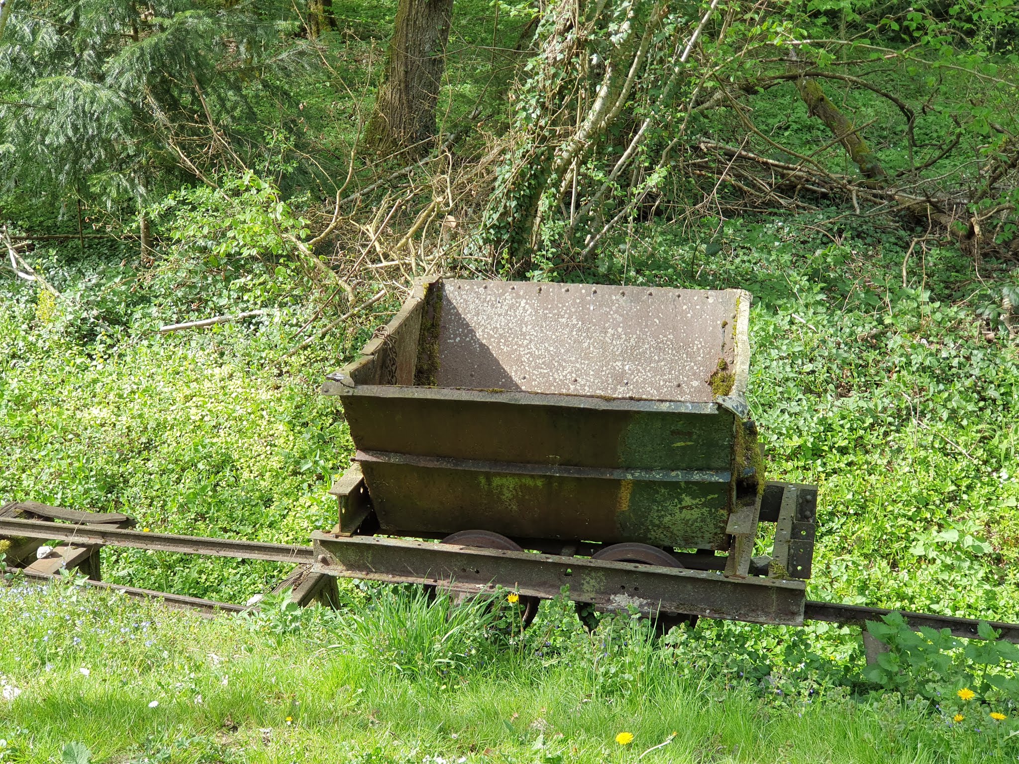 Photo n° 29 de l'avis de Nachtalb. fait le 23/04/2019 à 12:32