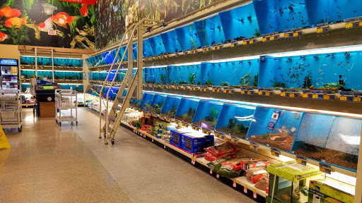 Pet Supply Store «PetSmart», reviews and photos, 971 Norland Ave, Chambersburg, PA 17201, USA