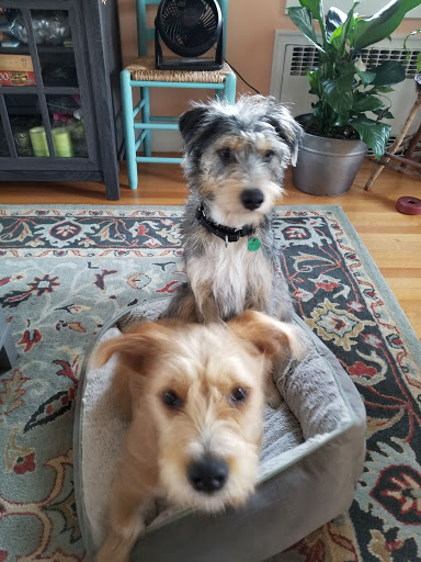 Pet Supply Store «Petsense Westerly», reviews and photos, 143 Franklin St, Westerly, RI 02891, USA