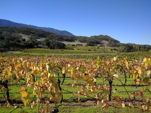 Winery «Arrowood Vineyards & Winery», reviews and photos, 14347 CA-12, Glen Ellen, CA 95442, USA