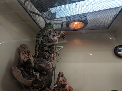 Pet Supply Store «Pet Supplies Plus», reviews and photos, 1240 Seminole Trail, Charlottesville, VA 22901, USA