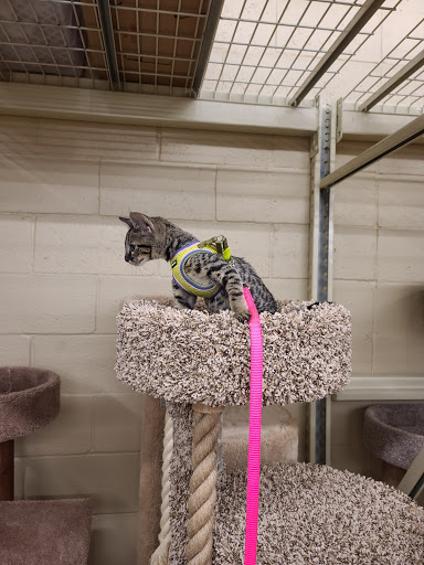 Pet Supply Store «PetSmart», reviews and photos, 156 Old Little Britain Rd, Newburgh, NY 12550, USA