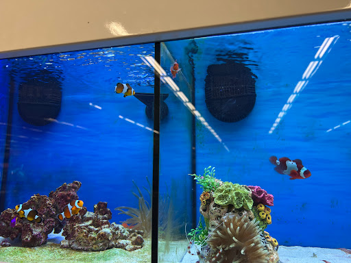 Pet Supply Store «Petco Animal Supplies», reviews and photos, 309 Worth Ave #123, Stafford, VA 22554, USA