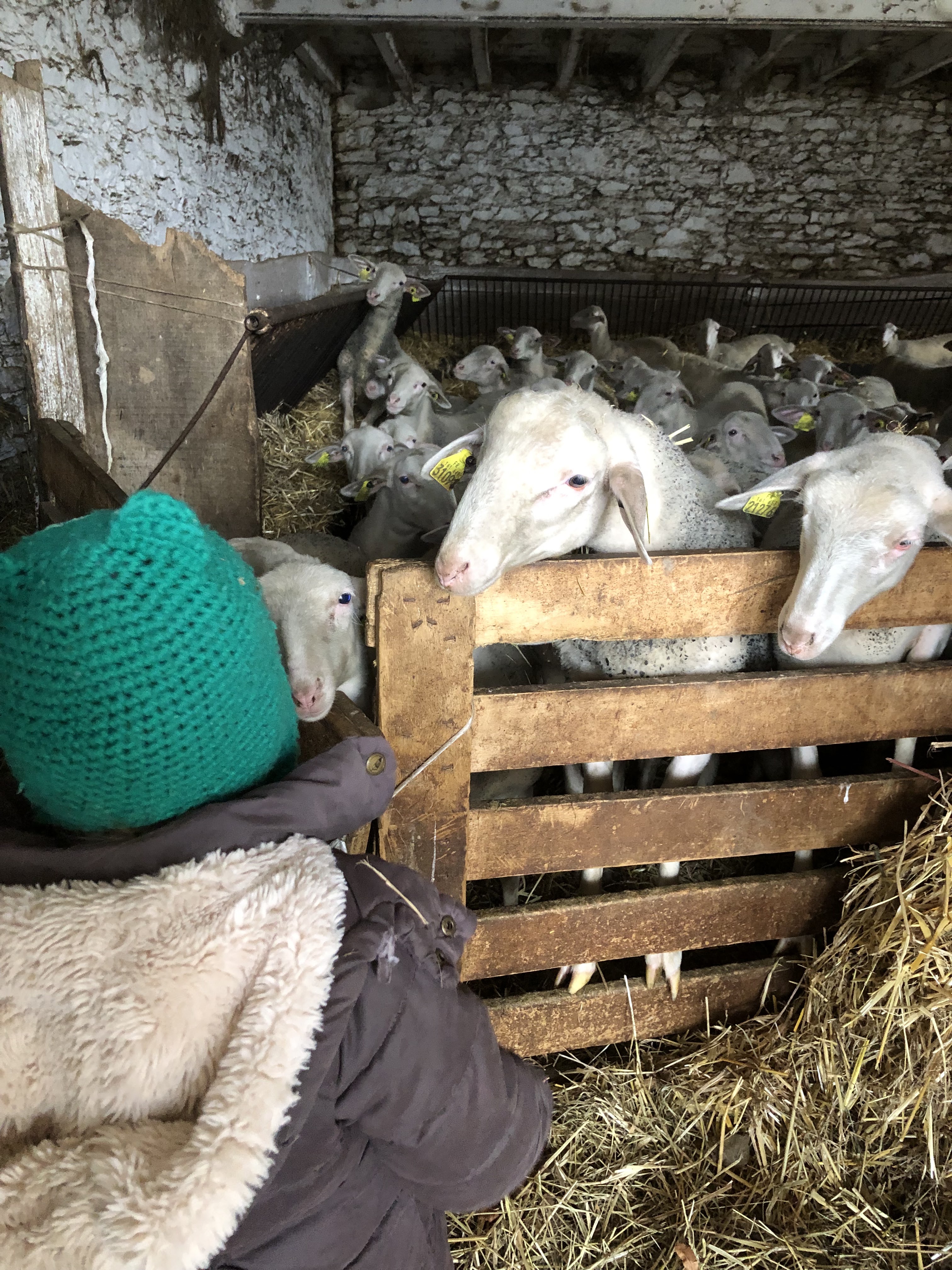 Photo n° 2 de l'avis de Christine.l fait le 21/02/2023 à 16:55