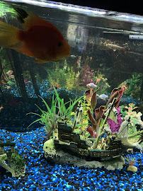 Rainy Day Fish LLC - Photo 5 - Car repair in Cleveland, OH, Cleveland