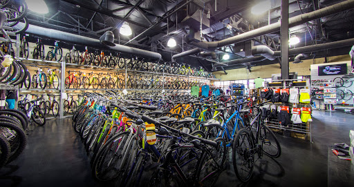 Bicycle Store «Global Bikes - Ahwatukee Bike Shop», reviews and photos, 3636 E Ray Rd #6, Phoenix, AZ 85044, USA